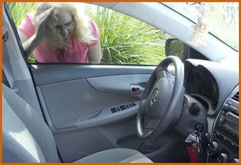 Village Locksmith Store New York, NY 212-320-9851 - 15-emergency-lockout